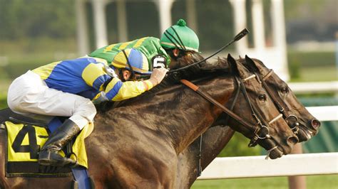elite racing tips|Professional Horse Racing Tipping Service .